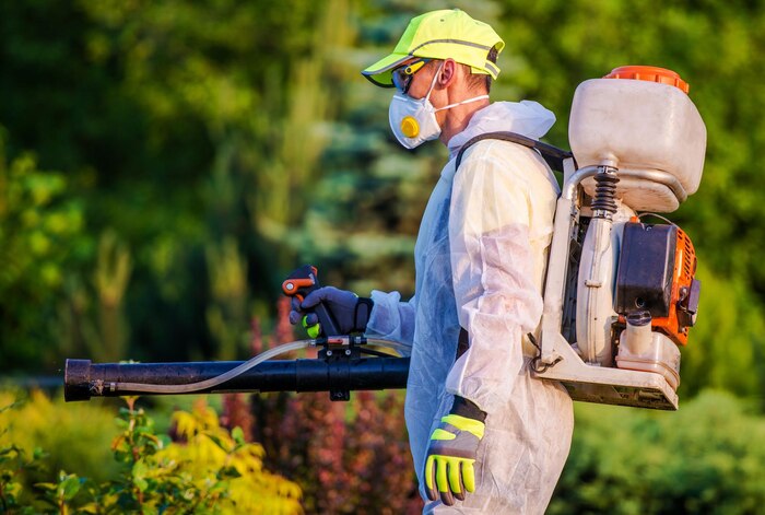 Can Residential Pest Control Services Help with Pantry Pests?